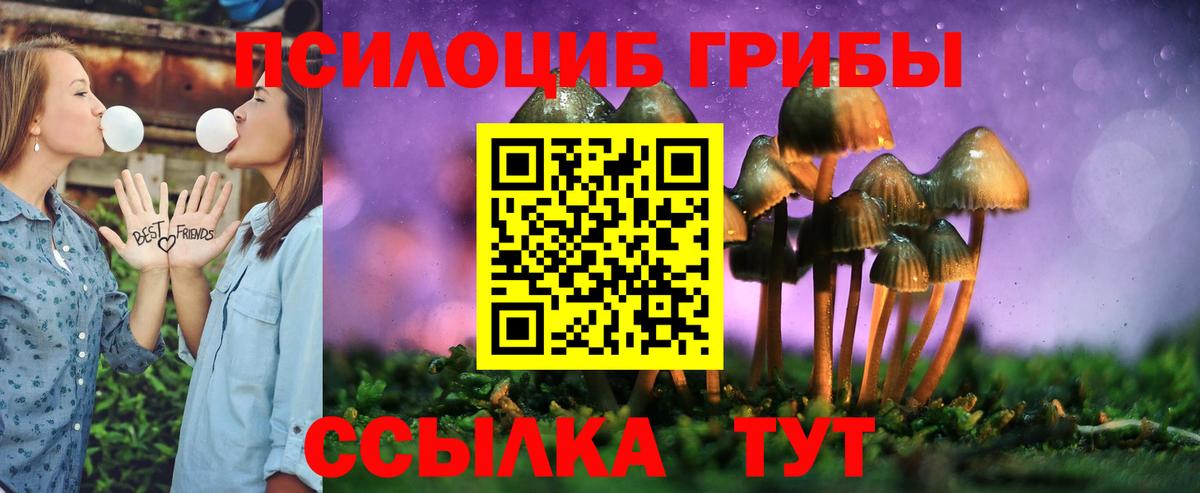 Псилоцибиновые грибы GOLDEN TEACHER Астрахань